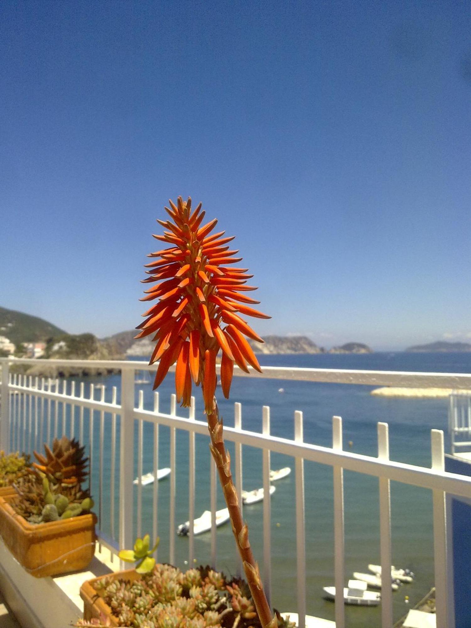 Hotel La Baia